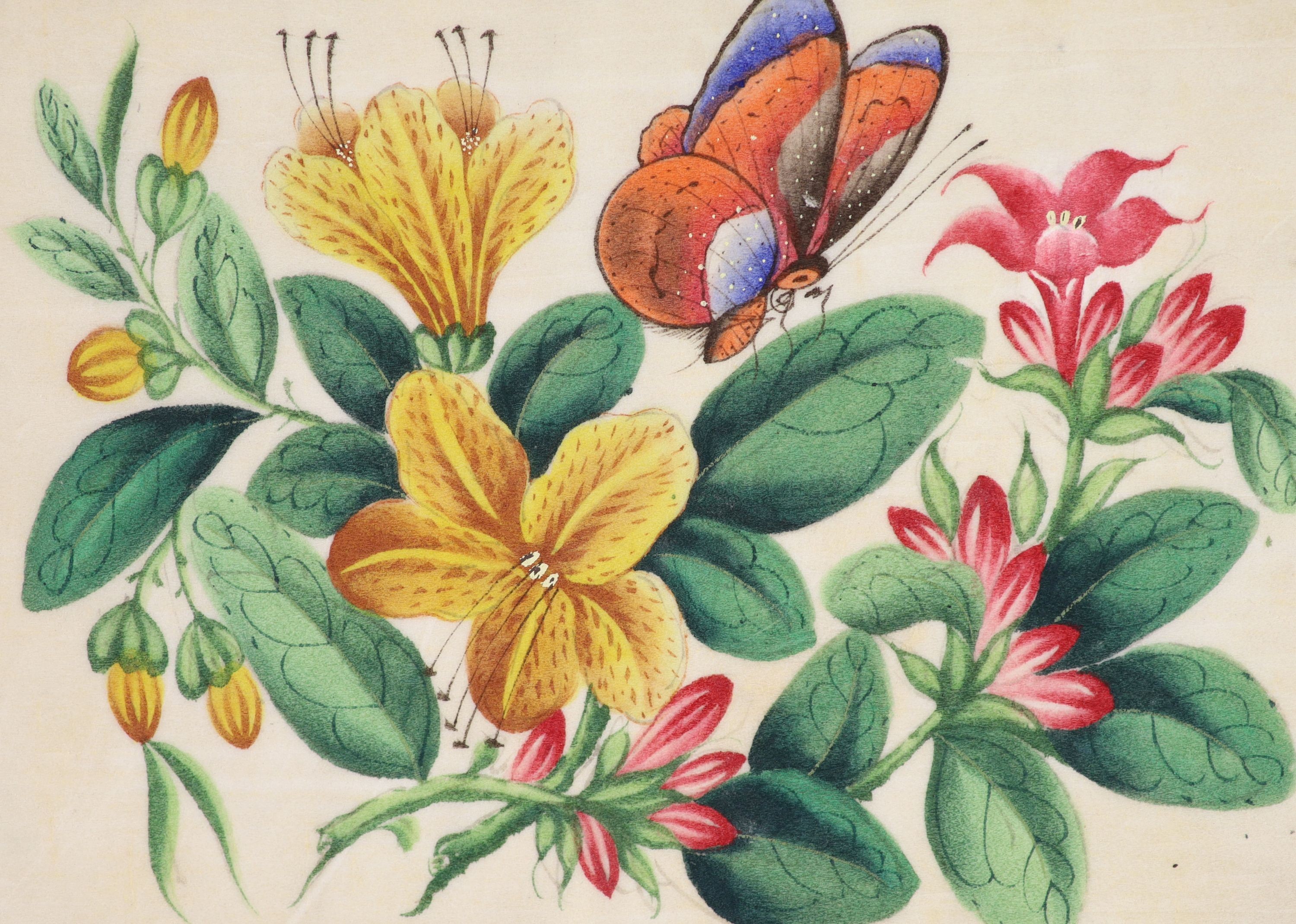 A Chinese album of twelve pith paintings of flowers and butterflies, 19th century, 17 x 24 cm